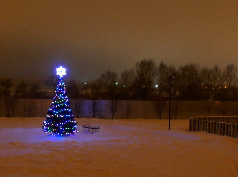 новогодняя елка 2017